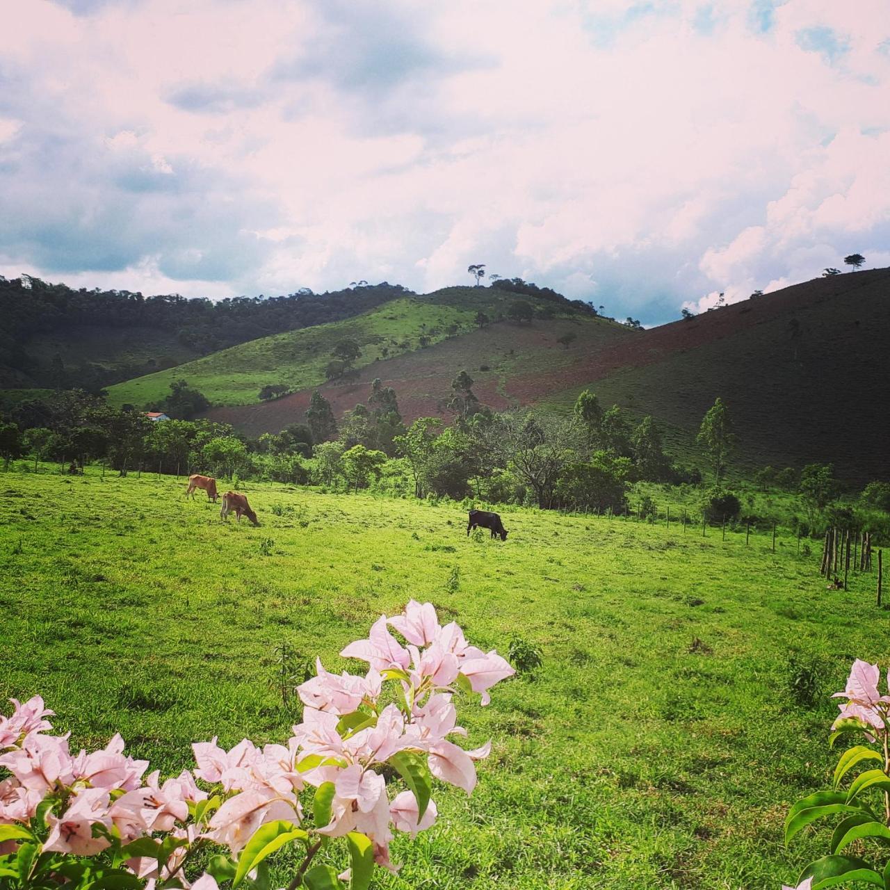 Pousada Chalés dos Montes Santana dos Montes Exterior foto